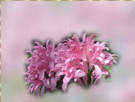 On ne peut me conna�tre